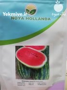 فروش بذر هندوانه آیسان فروش بذر در گرگان در گروه خرید و فروش بذر هندوانه در یکمیوه