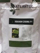 فروش بذر کدو هیبرید زیگما در گروه خرید و فروش بذر کدو در یکمیوه