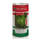 بذر هندوانه اسکارلت در اهواز در گروه خرید و فروش بذر هندوانه در یکمیوه