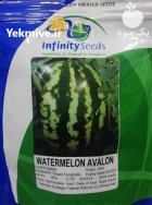 فروش بذر هندوانه آوالون اینفینیتی سیدز در گرگان در گروه خرید و فروش بذر هندوانه در یکمیوه