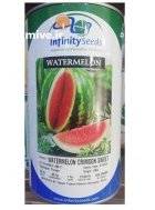 فروش بذر هندوانه استاندارد اینفینیتی در گرگان در گروه خرید و فروش بذر هندوانه در یکمیوه