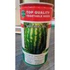 بذر هندوانه اسکارلت ناسکو آمریکا در بندرعباس در گروه خرید و فروش بذر هندوانه در یکمیوه