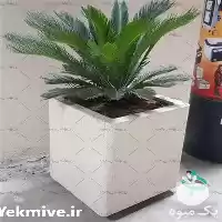 قیمت خرید قیمت گلدان بتنی در گروه خرید و فروش گلدان در یکمیوه