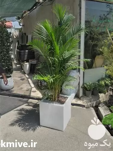 فروش گلدان فایبرگلاس و فلاورباکس مستطیل در گروه خرید و فروش گلدان در یکمیوه -عکس1