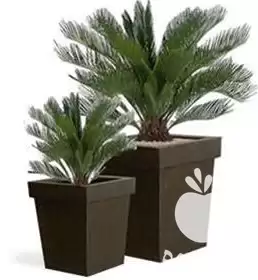 قیمت خرید نازلترین قیمت گلدان فایبرگلاس در کرج در گروه خرید و فروش گلدان در یکمیوه -عکس1