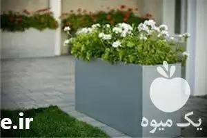 قیمت خرید گلدان با بهترین قیمت در کرج در گروه خرید و فروش گلدان در یکمیوه -عکس1