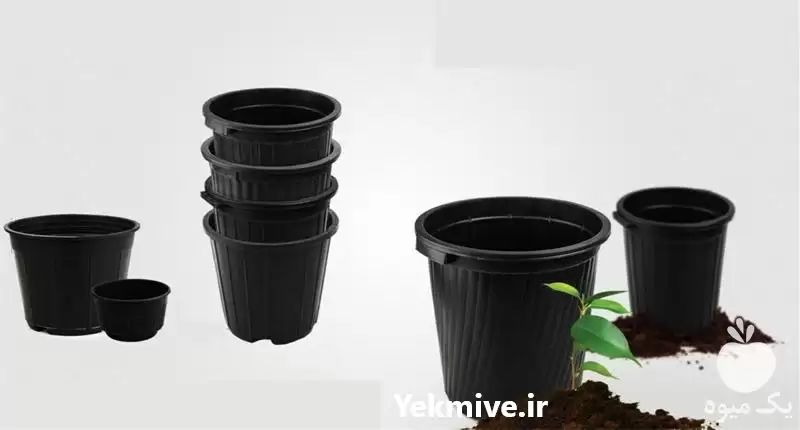 فروش گلدان پلاستیکی در گروه خرید و فروش گلدان در یکمیوه -عکس1