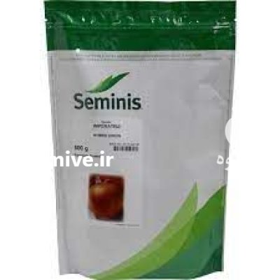 بذر پیاز زرد امپراتریز در قصرشیرین در گروه خرید و فروش بذر پیاز در یکمیوه -عکس1