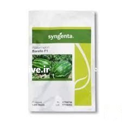 بذر هندوانه کریمسون B 52 در بوشهر در گروه خرید و فروش بذر هندوانه در یکمیوه -عکس1