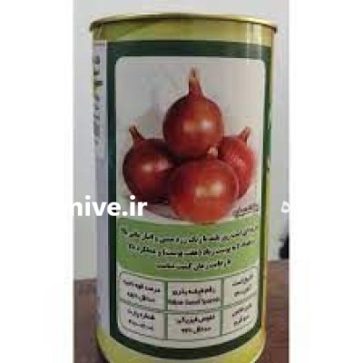 بذر پیاز والنسیا فلات دانه در گروه خرید و فروش بذر پیاز در یکمیوه -عکس1