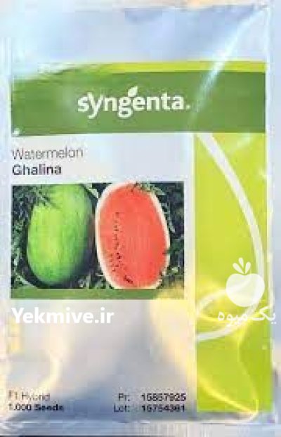 بذر هندوانه گالینا در زاهدان در گروه خرید و فروش بذر هندوانه در یکمیوه -عکس1