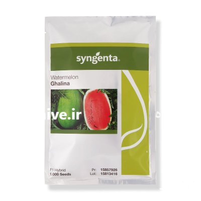 بذر هندوانه گالینا سینجنتا در شیراز در گروه خرید و فروش بذر هندوانه در یکمیوه -عکس1