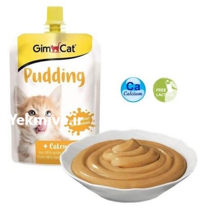پودینگ گربه جیم کت در کرج در گروه حیوانات خانگی در یکمیوه -عکس1