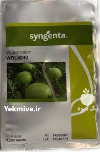 بذر هندوانه 8040 سینجنتا در بندردیر در گروه خرید و فروش بذر هندوانه در یکمیوه -عکس1