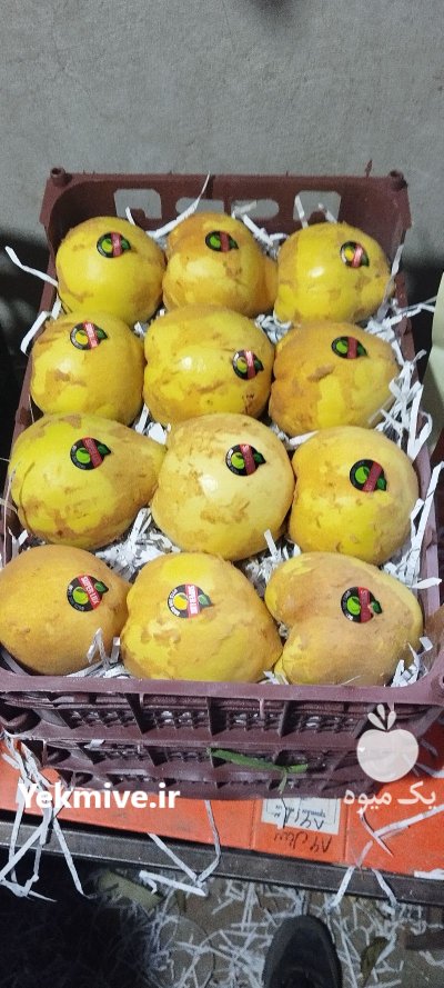 فروش میوه به در گروه خرید و فروش میوه به در یکمیوه -عکس2