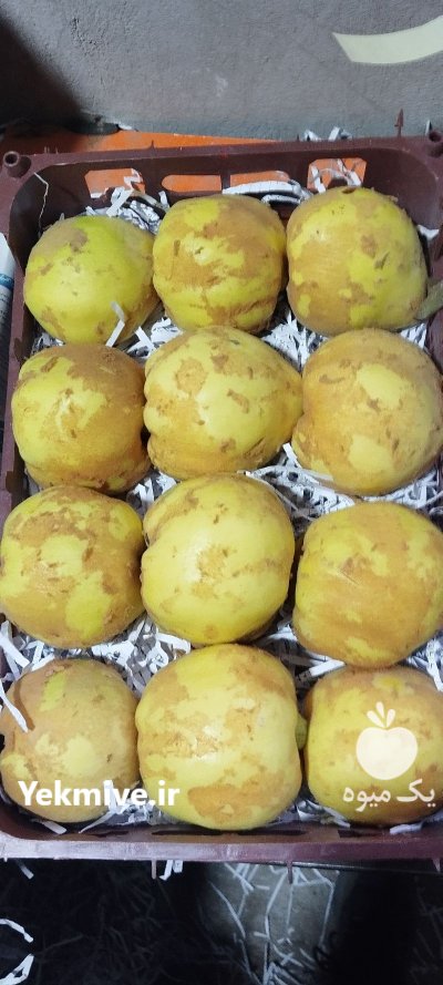 فروش میوه به در گروه خرید و فروش میوه به در یکمیوه -عکس3