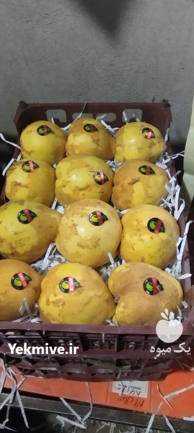 فروش میوه به در گروه خرید و فروش میوه به در یکمیوه -عکس4