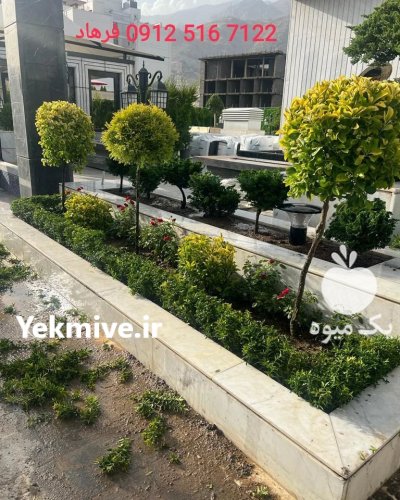 روف گاردن در تهران در گروه سازنده در یکمیوه -عکس1