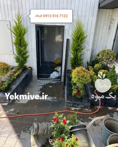 روف گاردن در تهران در گروه سازنده در یکمیوه -عکس2