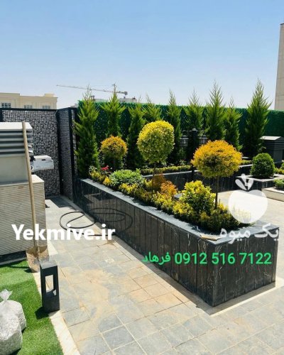 روف گاردن در تهران در گروه سازنده در یکمیوه -عکس3