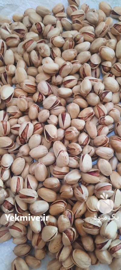 پسته خندان در نقاب در گروه خرید و فروش پسته در یکمیوه -عکس1