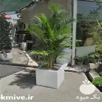 فروش گلدان فایبرگلاس و فلاورباکس مستطیل در گروه خرید و فروش گلدان در یکمیوه