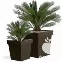 قیمت خرید نازلترین قیمت گلدان فایبرگلاس در کرج در گروه خرید و فروش گلدان در یکمیوه