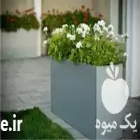 قیمت خرید گلدان با بهترین قیمت در کرج در گروه خرید و فروش گلدان در یکمیوه