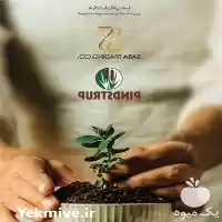 قیمت خرید کمپوست قارچ در تهران در گروه خرید و فروش کود کمپوست در یکمیوه