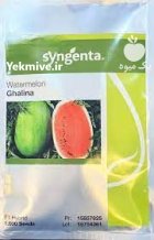 بذر هندوانه گالینا در زاهدان در گروه خرید و فروش بذر هندوانه در یکمیوه