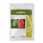 بذر هندوانه گالینا سینجنتا در شیراز در گروه خرید و فروش بذر هندوانه در یکمیوه