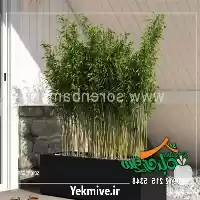 قیمت خرید انواع فلاور باکس در تهران در گروه خرید و فروش گلدان در یکمیوه