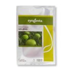 بذر هندوانه سینجنتا 8040 در اردکان در گروه خرید و فروش بذر هندوانه در یکمیوه