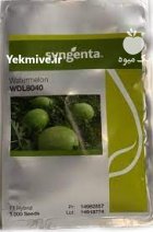 بذر هندوانه 8040 سینجنتا در بندردیر در گروه خرید و فروش بذر هندوانه در یکمیوه