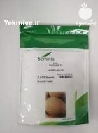 بذر خربزه آناناسی نغم سمینیس در شیراز در گروه خرید و فروش بذر خربزه در یکمیوه