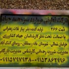 بذر پیاز فلات زرد زعفرانی در بجنورد در گروه خرید و فروش بذر پیاز در یکمیوه