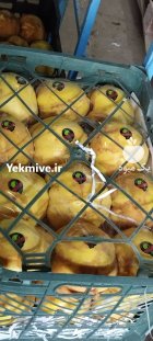 فروش میوه به در گروه خرید و فروش میوه به در یکمیوه