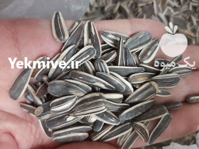 تخمه آفتابگردان خام در اصفهان در گروه خرید و فروش انواع تخمه در یکمیوه -عکس1