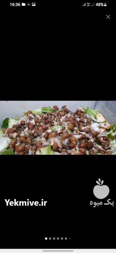 حلزون مولد در تهران در گروه انواع محصولات شیلات در یکمیوه -عکس2