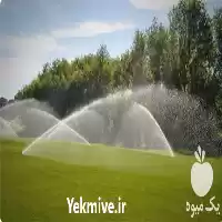 قیمت خرید طراحی اجرای سیستم در تهران در گروه خرید و فروش اتصالات و تجهیزات آبیاری در یکمیوه