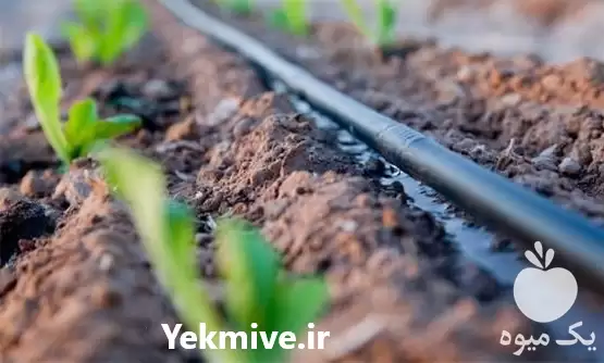 فروش طراحی اجرای آبیاری هوشمند نصب در گروه خرید و فروش دستگاه آبیاری در یکمیوه -عکس1