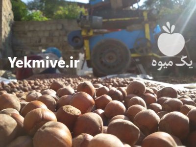 قیمت پوست کن گردو بادام و فندق در پرندک در گروه خرید و فروش دستگاه کشاورزی در یکمیوه -عکس2
