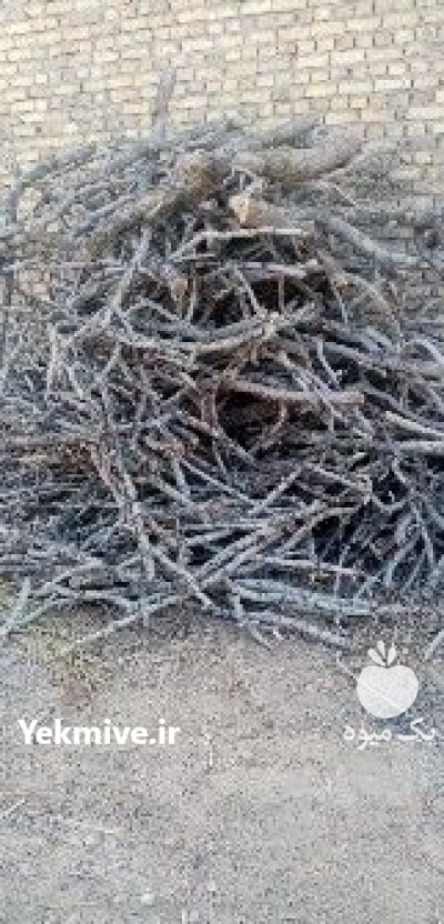 هیزم پسته هیزم پسته در یزد در گروه خرید و فروش هیزم در یکمیوه -عکس1