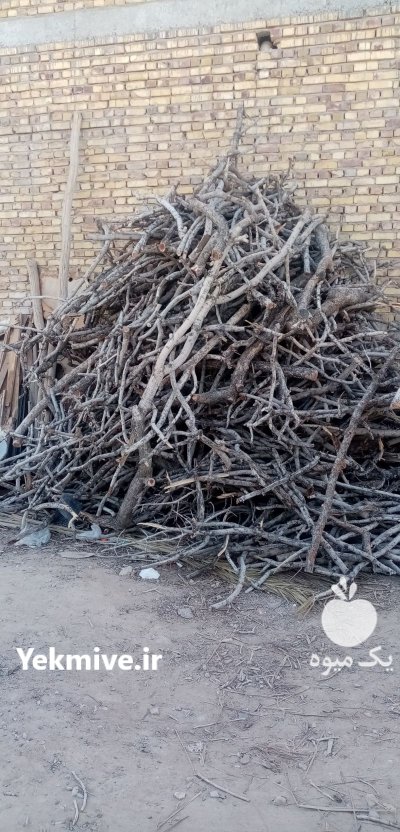 هیزم پسته هیزم پسته در یزد در گروه خرید و فروش هیزم در یکمیوه -عکس2