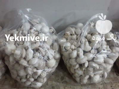 پخش قارچ در گروه خرید و فروش قارچ در یکمیوه -عکس1