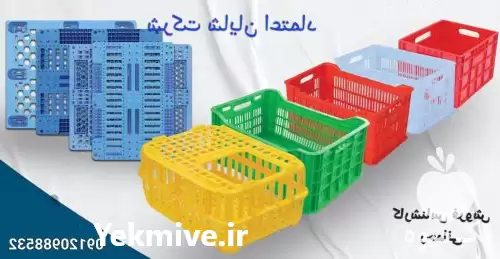 قیمت خرید سبد و پالت پلاستکی در تهران در گروه خرید و فروش پالت در یکمیوه -عکس1
