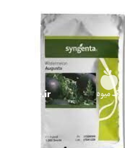 بذر هندوانه شوگر بیبی در شهرکرد در گروه خرید و فروش بذر هندوانه در یکمیوه -عکس1