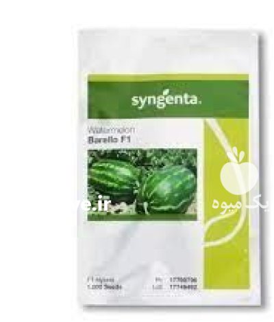 بذر هندوانه لیمان ناسکو در زاهدان در گروه خرید و فروش بذر هندوانه در یکمیوه -عکس1