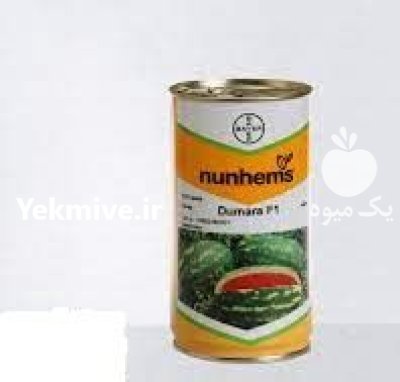 بذر هندوانه دومارا در گروه خرید و فروش بذر هندوانه در یکمیوه -عکس1