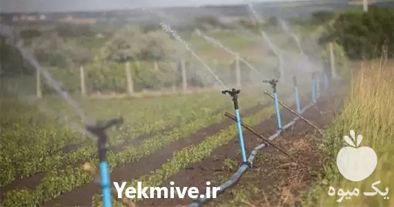 اجرای سیستم آبیاری کنترل از راه در ساری در گروه خرید و فروش اتصالات و تجهیزات آبیاری در یکمیوه -عکس1